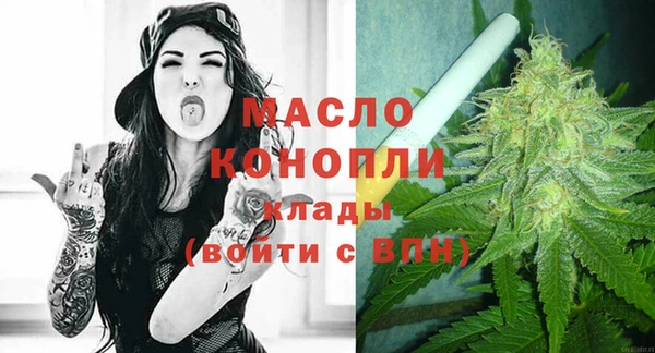 прущий лед Дмитриев