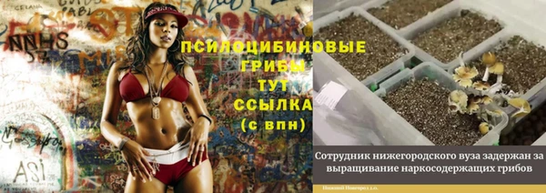 экстази Алексеевка