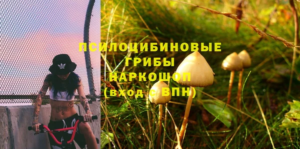 амфетамин Алексин