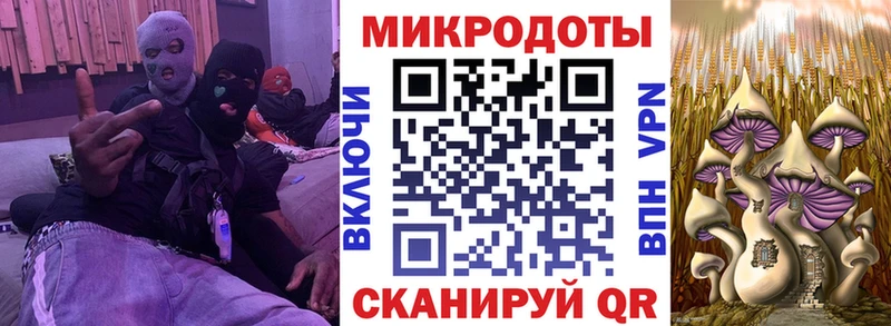 Галлюциногенные грибы прущие грибы  Александровское 